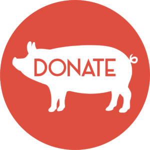 Donate Pig