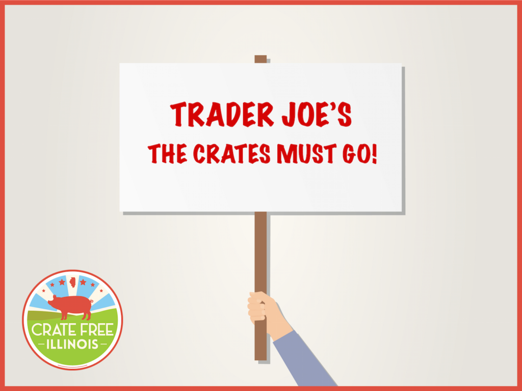 Trader Joe's Picket Sign