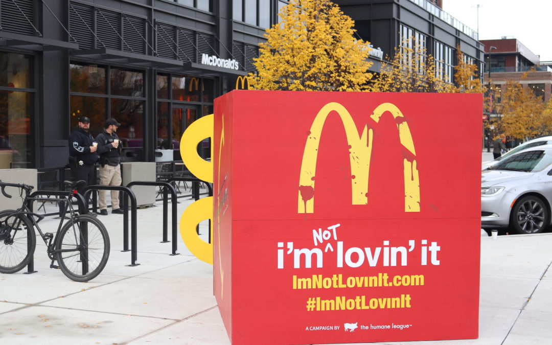 McDonald’s Chicken Welfare Policy Issues – Q&A with The Humane League