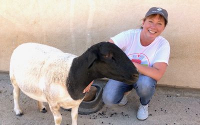 Crate Free USA Volunteer Profile: Christy Slaby