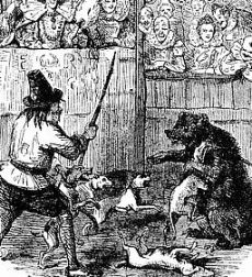 Bear_baiting