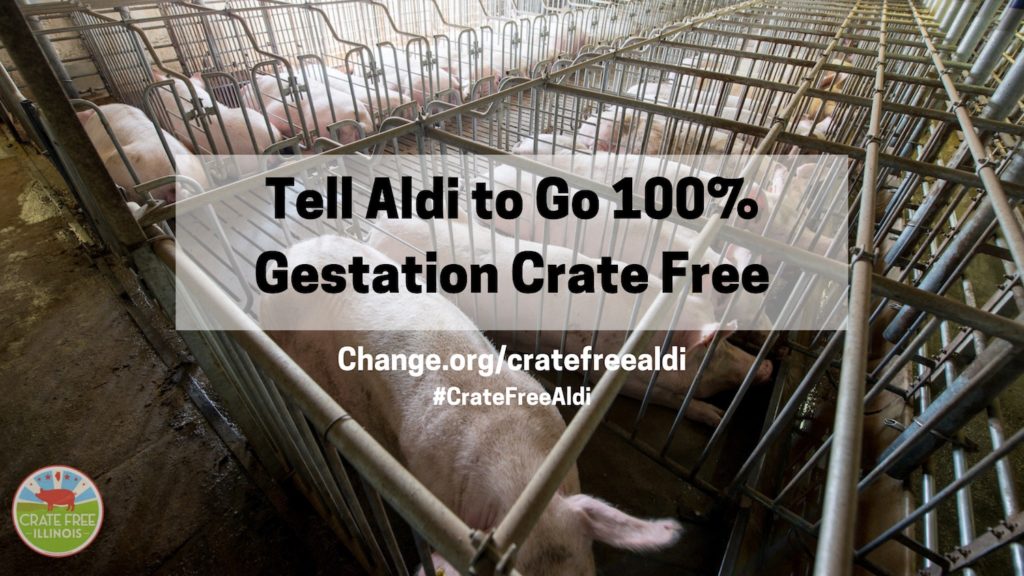 Go Crate Free Aldi