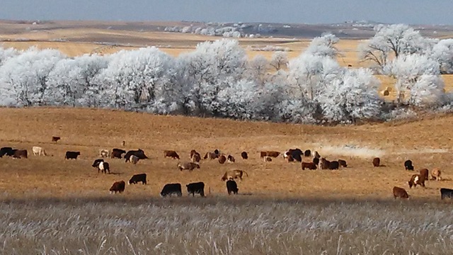 fulton farms nebraska