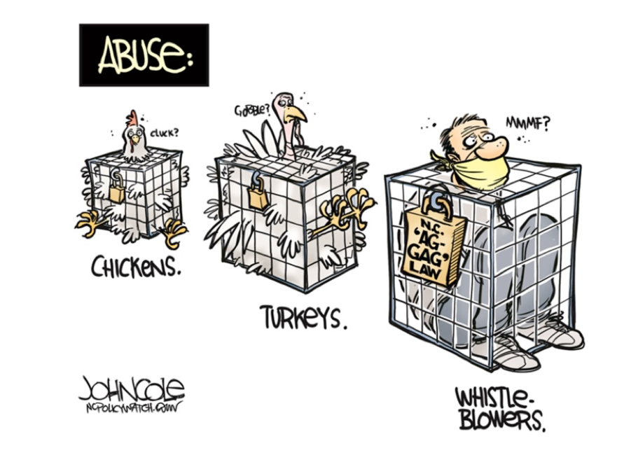 Ag Gag Cartoon