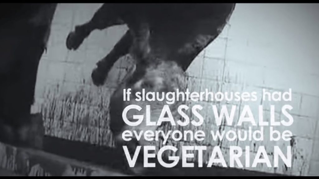 slaughterhouses