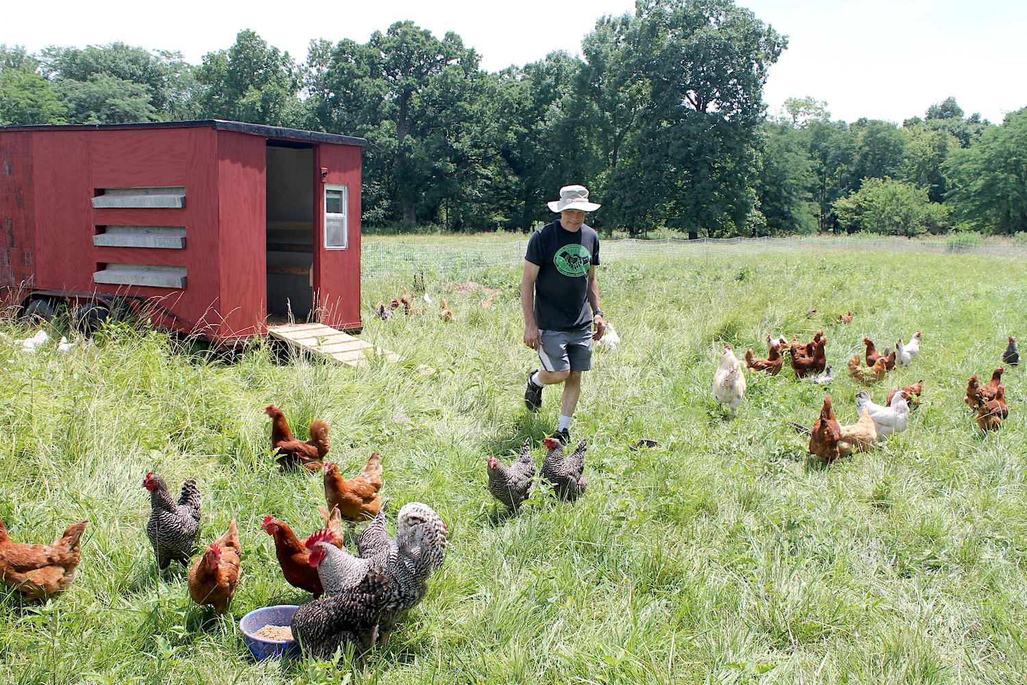 Mike and Chickens at Antiquity Oaks Farm