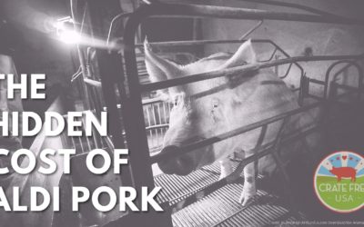 NEW VIDEO: The Cost of Aldi Pork