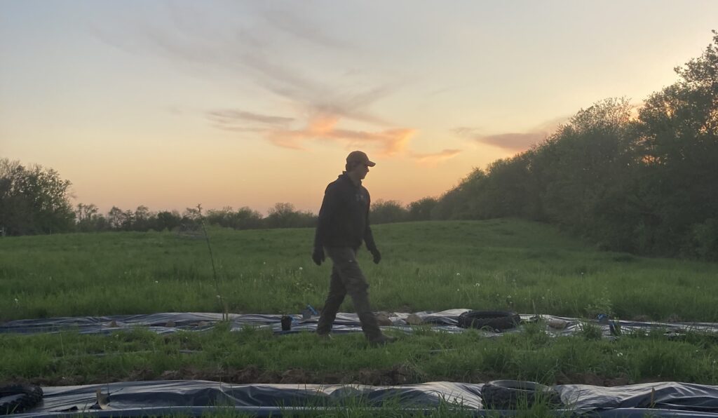 josh walk at sunset root and sky farm