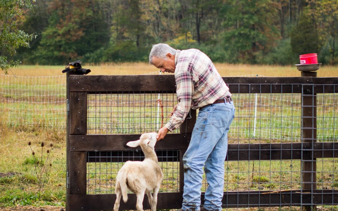 Humane Education: A Step in the Right Direction for Farm Animal Welfare