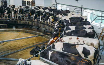 10 Alarming Facts About Factory Farms