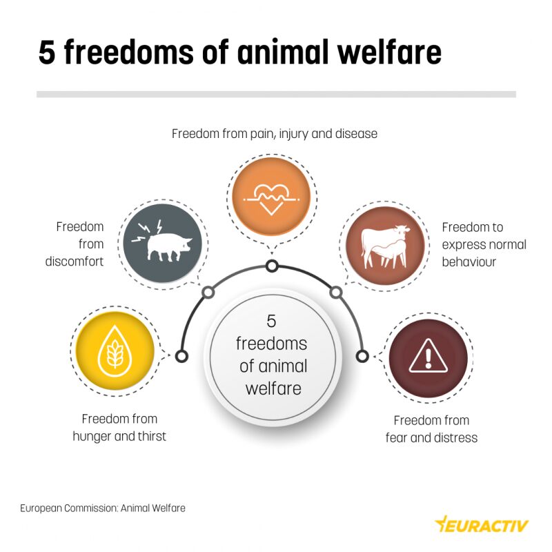 5 Freedoms
