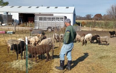 Farmer Q&A: Jody and Beth Osmund of Cedar Valley Sustainable Farm