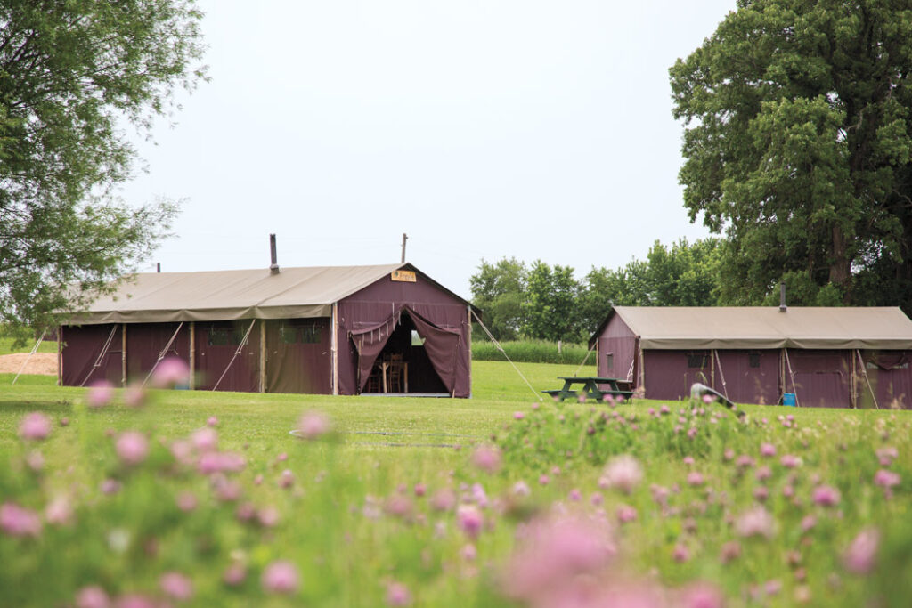 Kinnikinnick tents