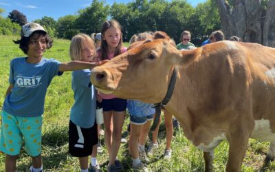Summer Farm Camps at All Grass Farms