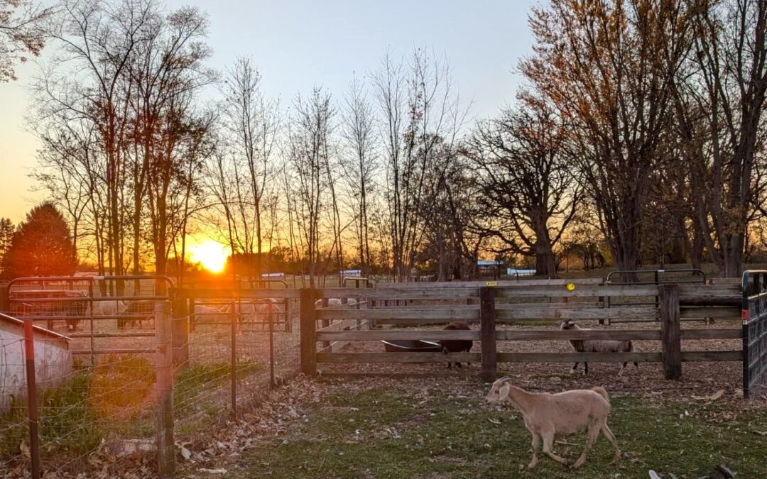 Hephzibah Farms