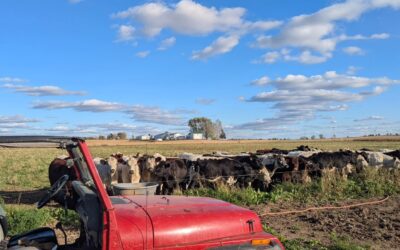 Q&A: Riemer Family Farm