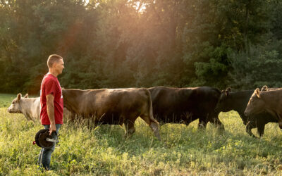 Farmer Q&A: Vintage Meadows